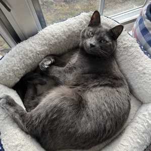 Fundraising Page: Kristin Campanara